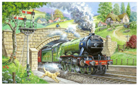 House of Puzzles jigsaw Train Spotting 250 extra large pieces landscape