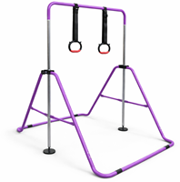 Urban Fitness Gymnastics Folding Horizontal Bar - Purple -