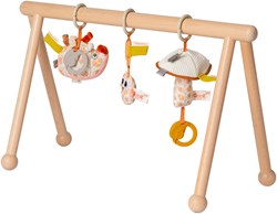 Van Dijk Toys x Dolce wooden babygym Earth