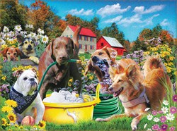SunsOut puzzle water sports - jigsaw 1000 pieces cardboard