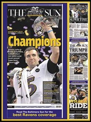 White Mountain jigsaw puzzle Baltimore Ravens 550 pieces puzzle fun