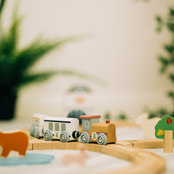 Bigjigs Woodland Animal Train Set