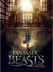Wrebbit 3D puzzle - Fantastic Beasts Macusa - 500 pieces Harry Potter