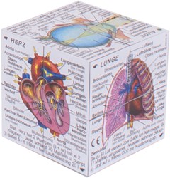 BigJigs Human Body